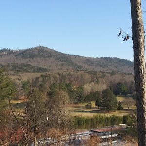 Meet your Posher, Ricky